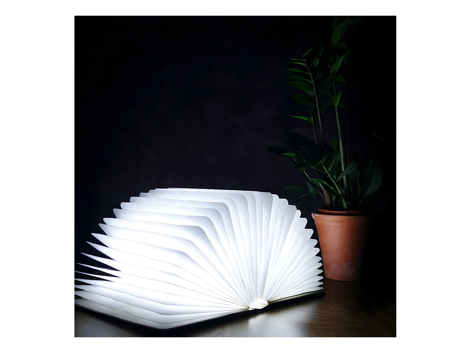 Lumière livre intelligente Gingko Grand Érable