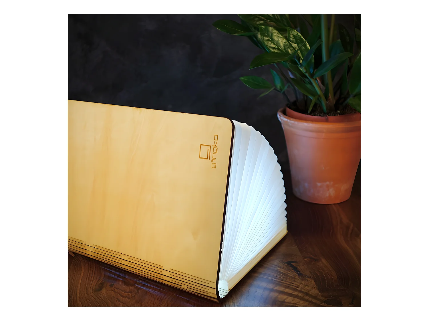 Lumière livre intelligente Gingko Grand Érable