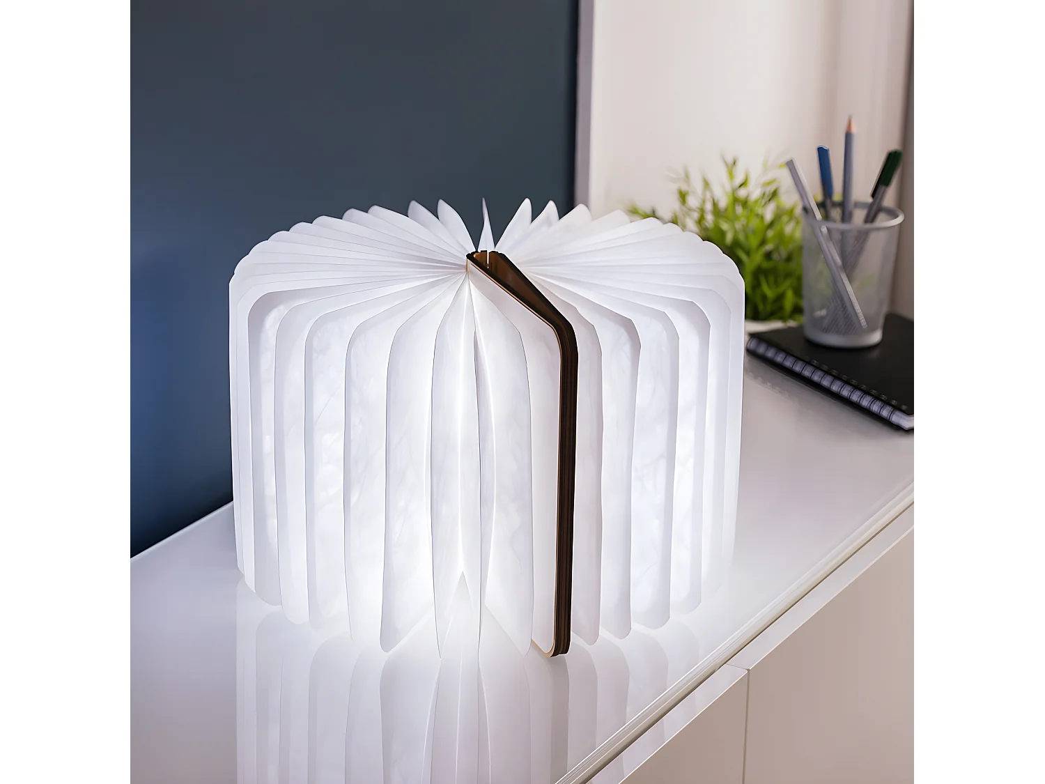 Lumière livre intelligente Gingko Grand Érable