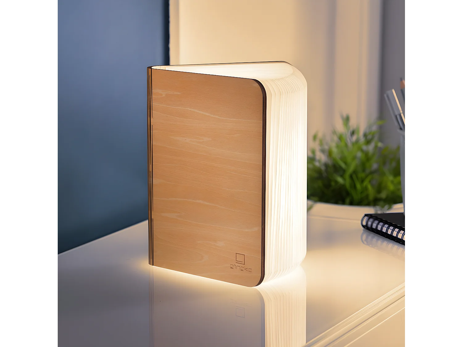 Lumière livre intelligente Gingko Grand Érable