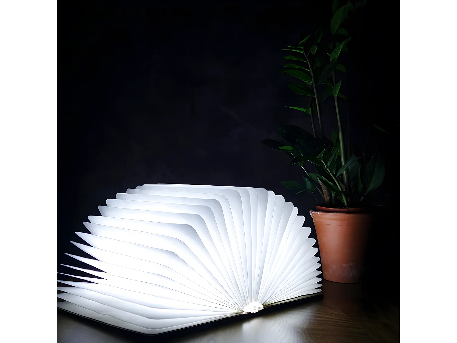 Lumière livre intelligente Gingko Grand Érable