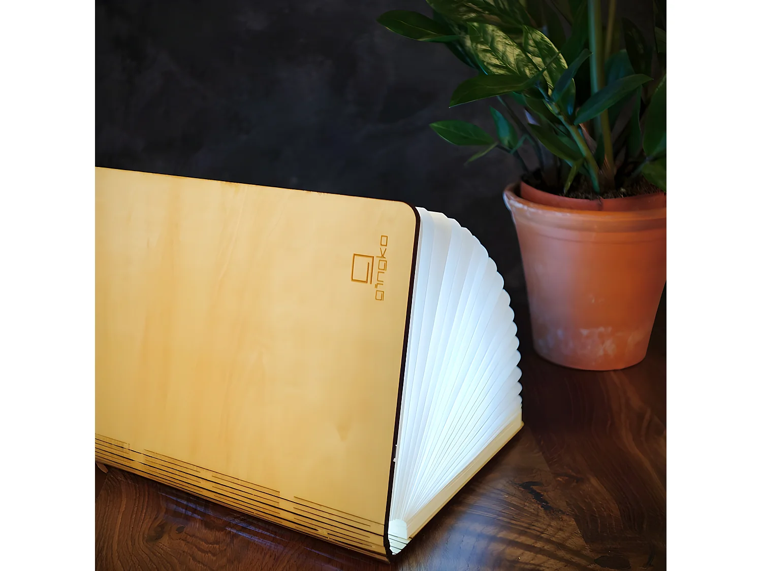 Lumière livre intelligente Gingko Grand Érable