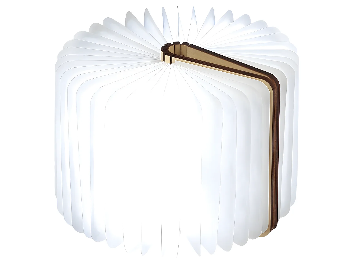 Lumière livre intelligente Mini Noyer