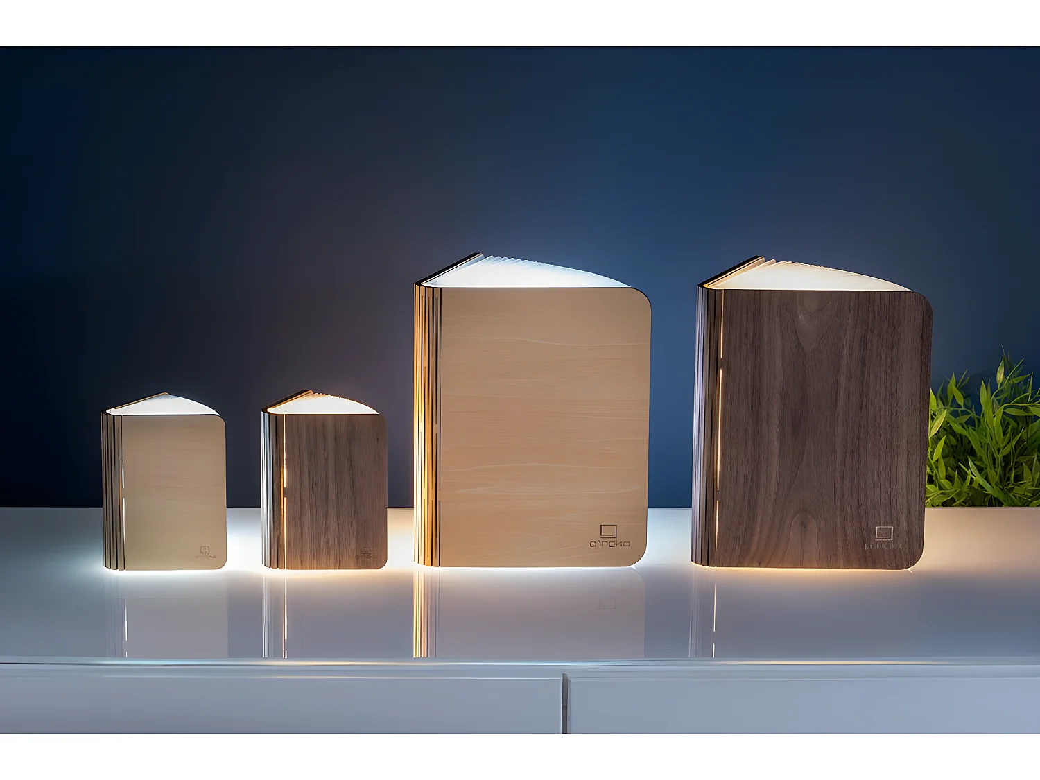 Lumière livre intelligente Mini Noyer