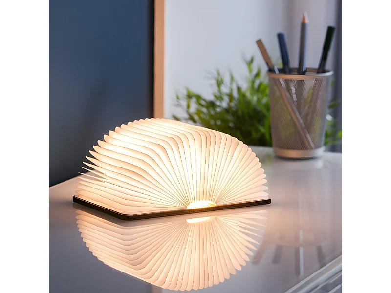 Lumière livre intelligente Mini Noyer