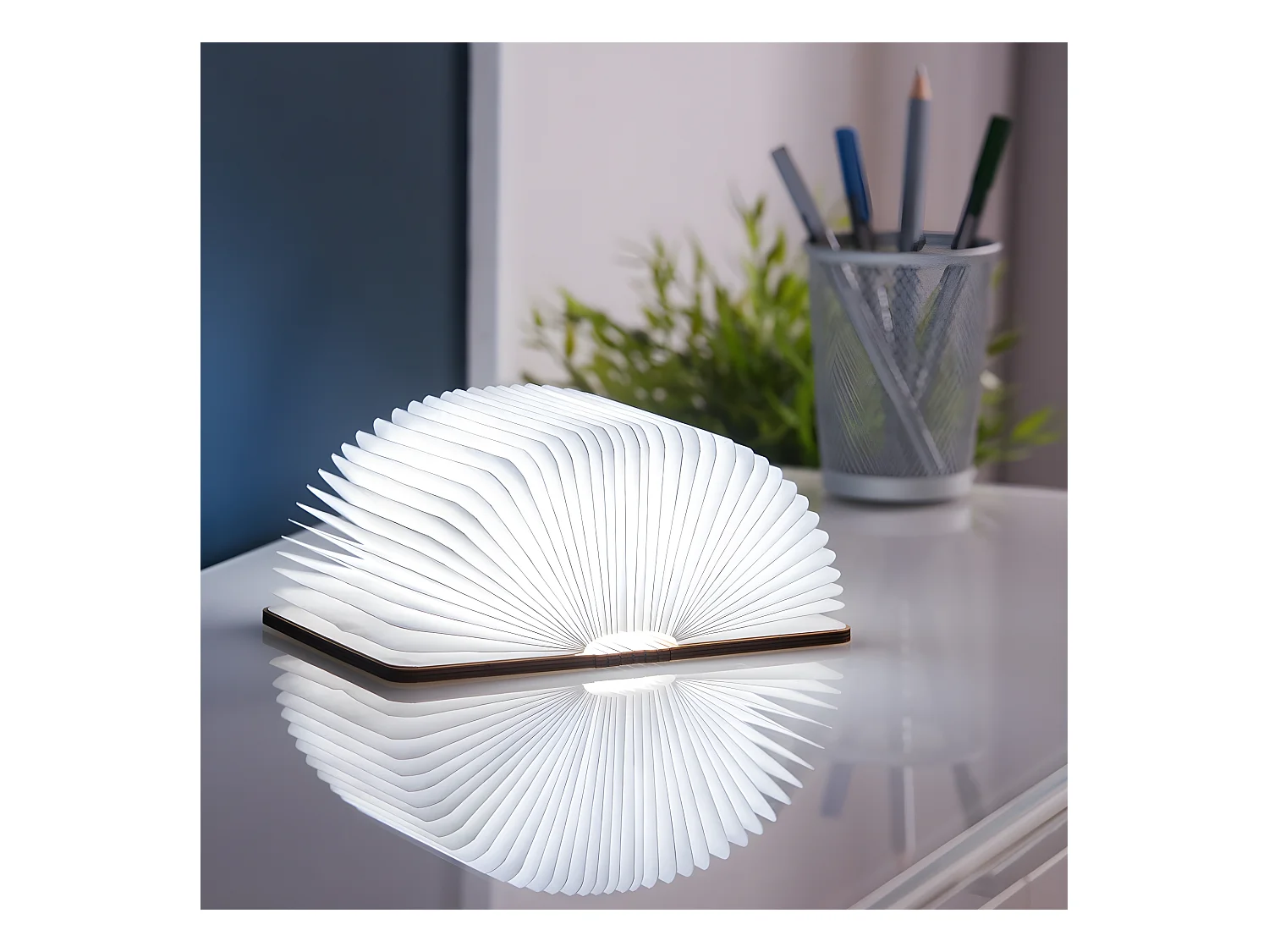 Lumière livre intelligente Gingko Mini Erable