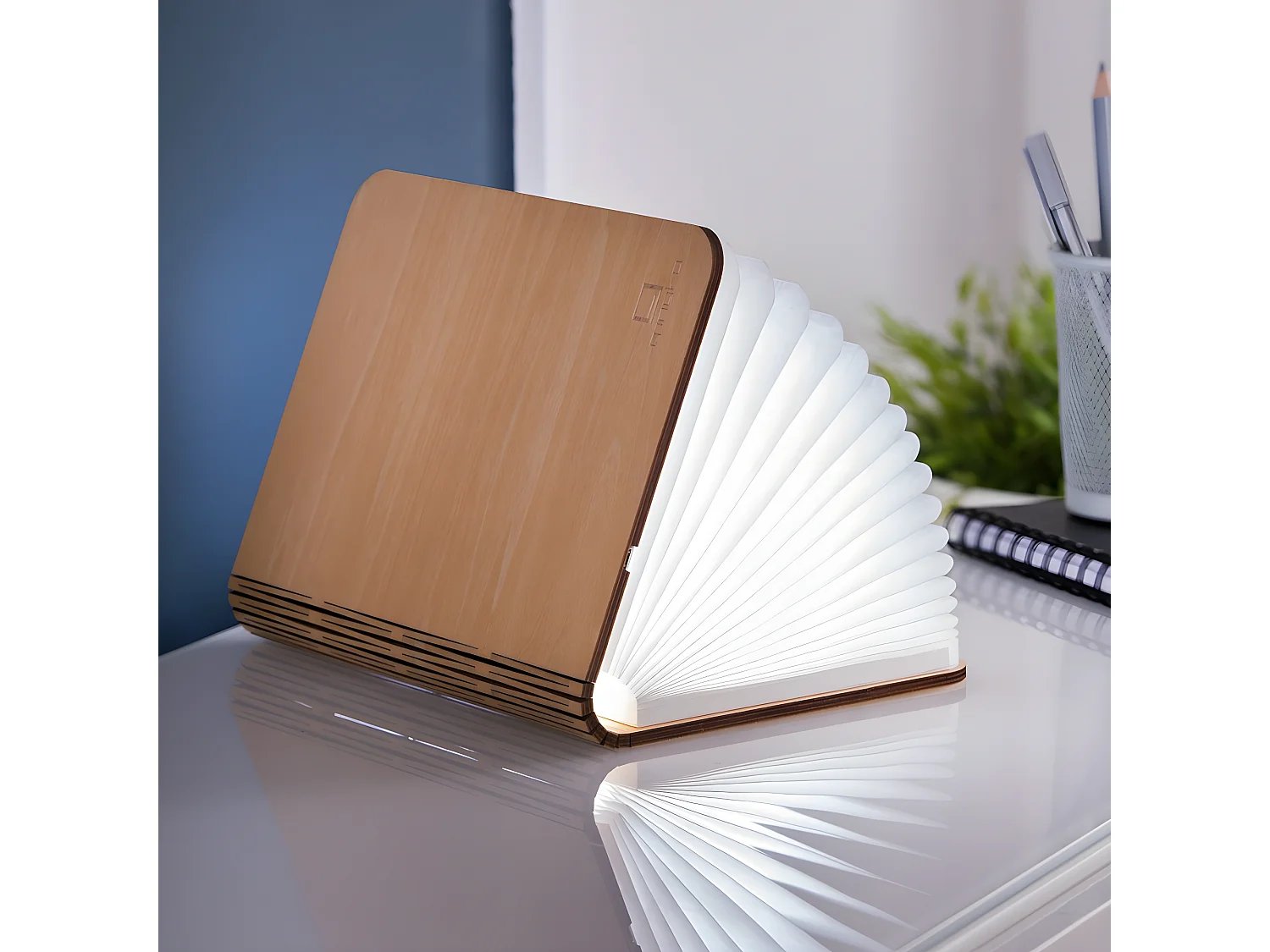 Lumière livre intelligente Gingko Mini Erable