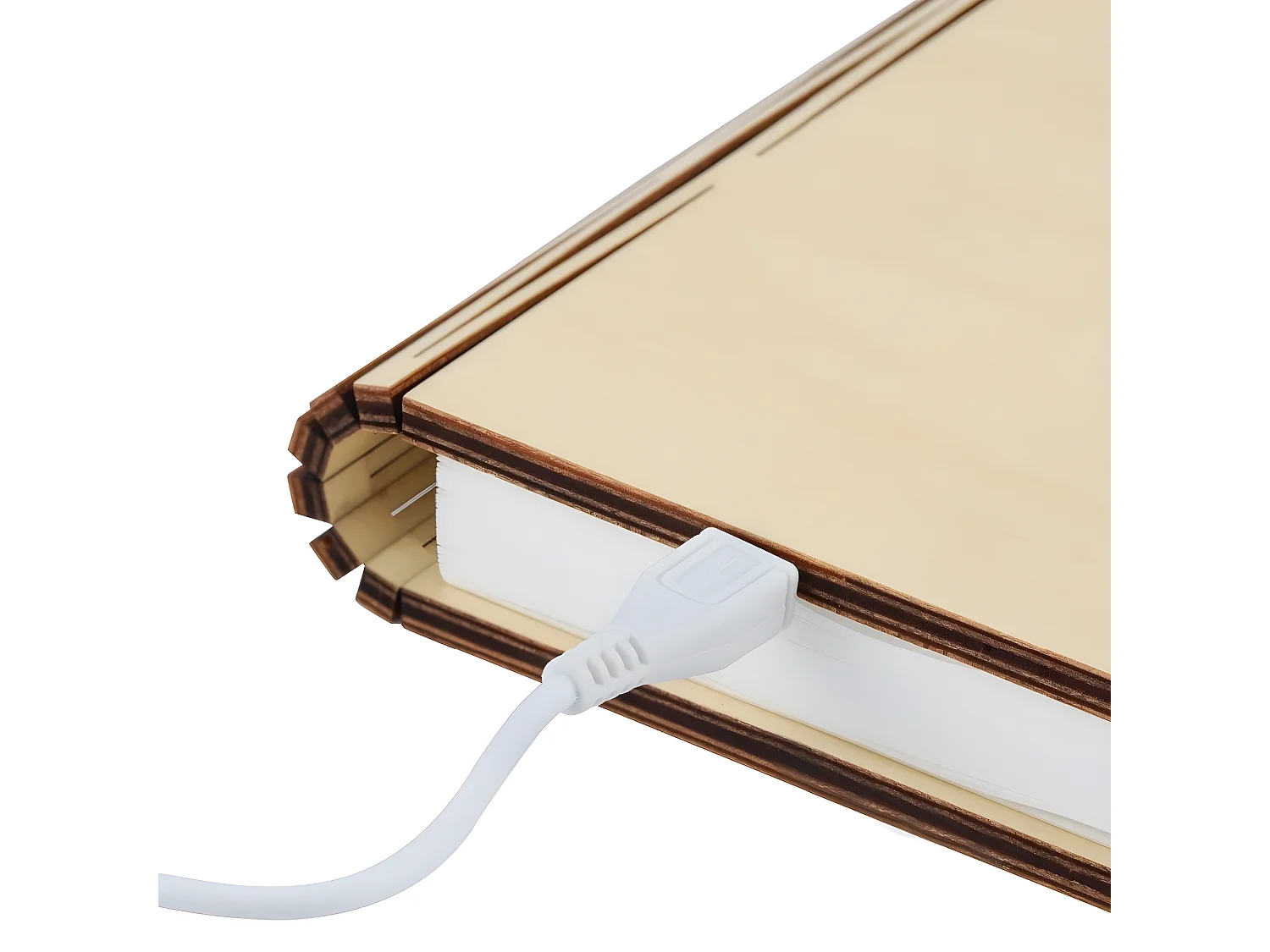 Lumière livre intelligente Gingko Mini Erable