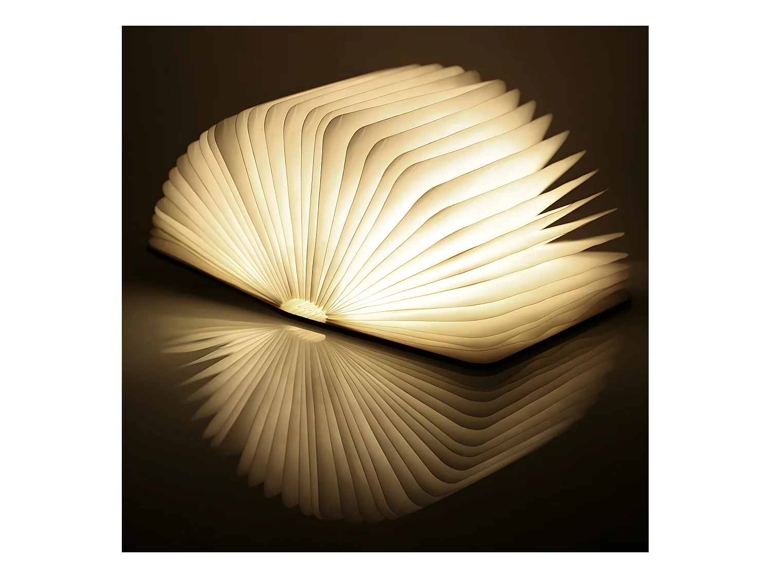 Lampe livre Smart Booklight Large   Gingko