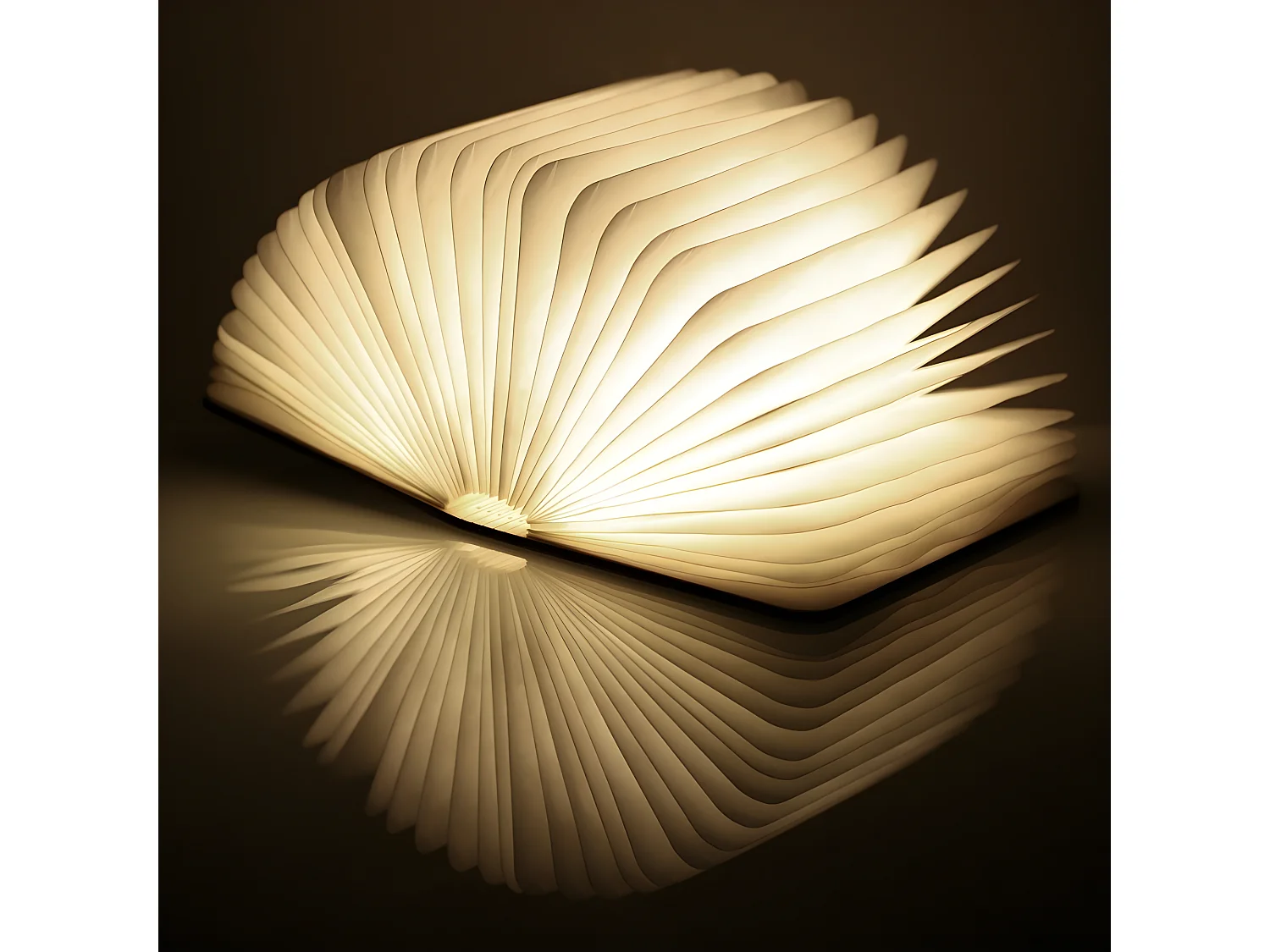 Lampe livre Smart Booklight Large   Gingko