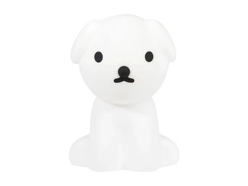 Prima lampada Sig. Maria Snuffy