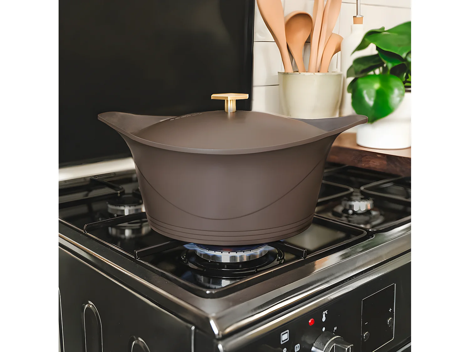 L'incroyable cocotte Taupe  Cookut