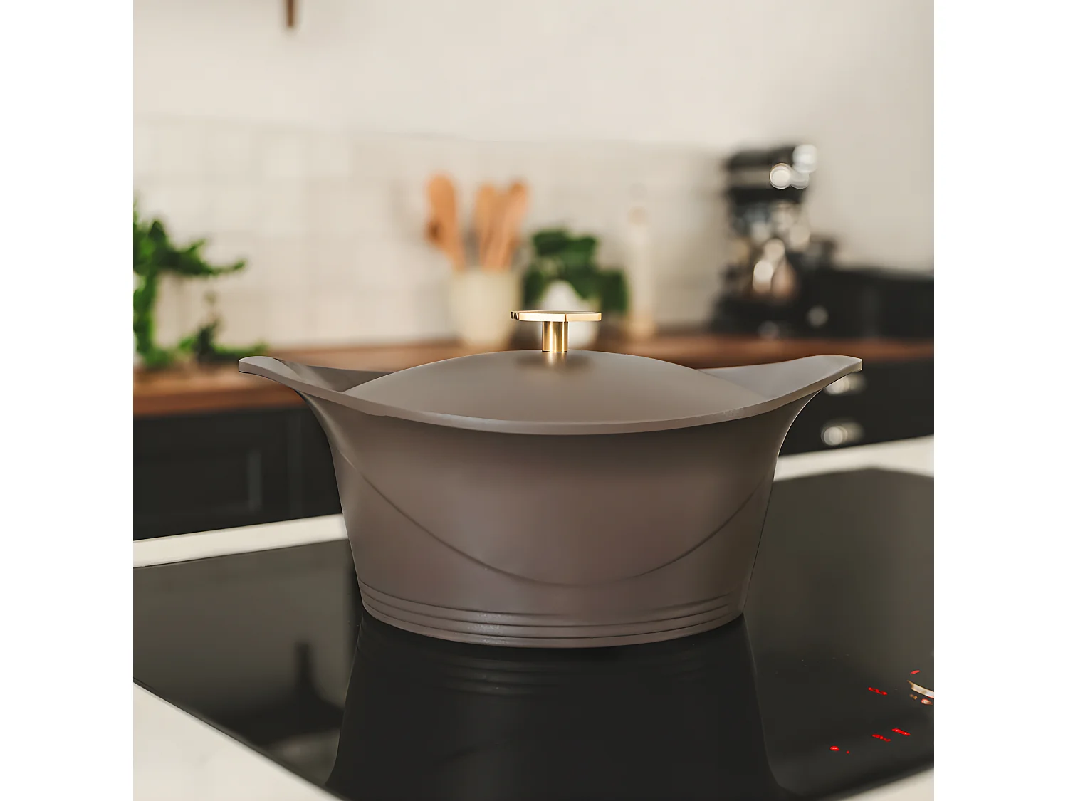 L'incroyable cocotte Taupe  Cookut