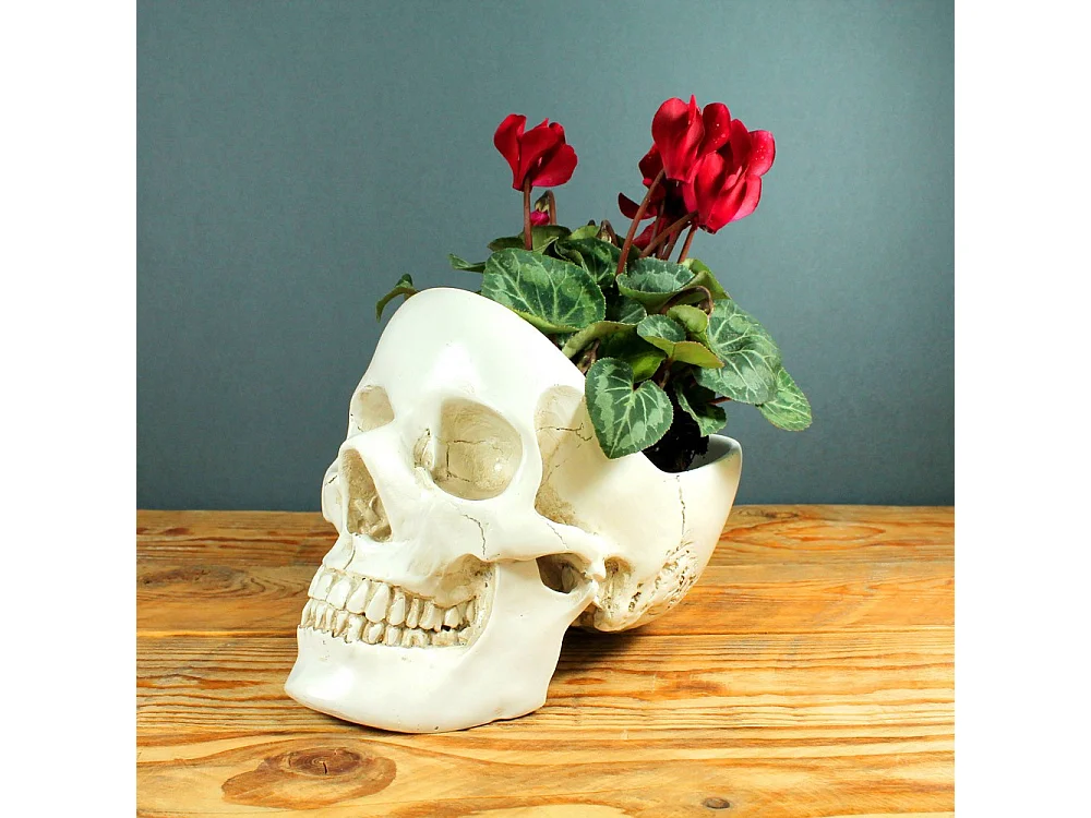 Vide poches Skull Tidy Blanc  Suck UK