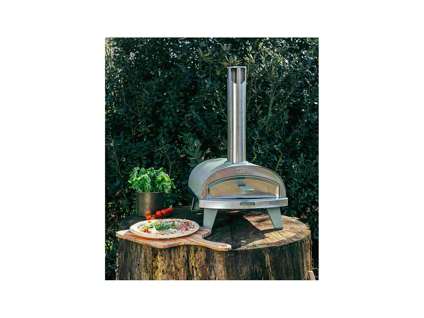 Four à pizza à pellets eucalyptus