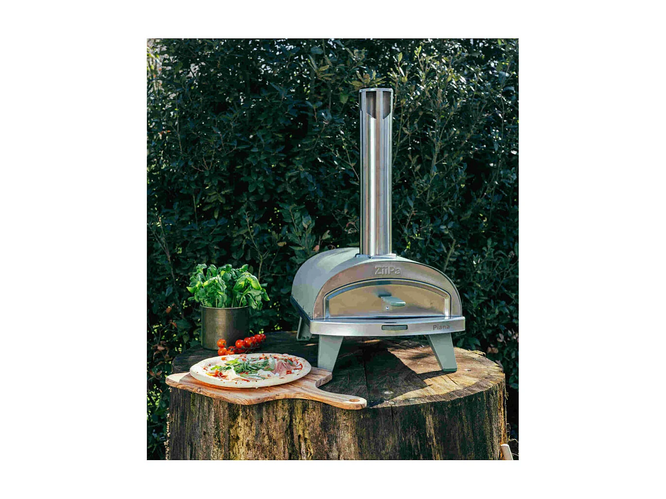 Four à pizza à pellets eucalyptus