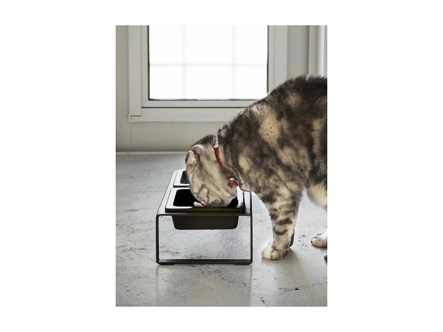 Cuenco de diseño doblemente elevado para el gato Tower