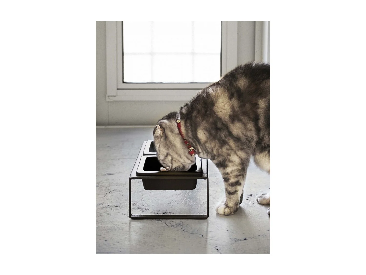 Hochliegende Katzennapf im Designstil "Tower"