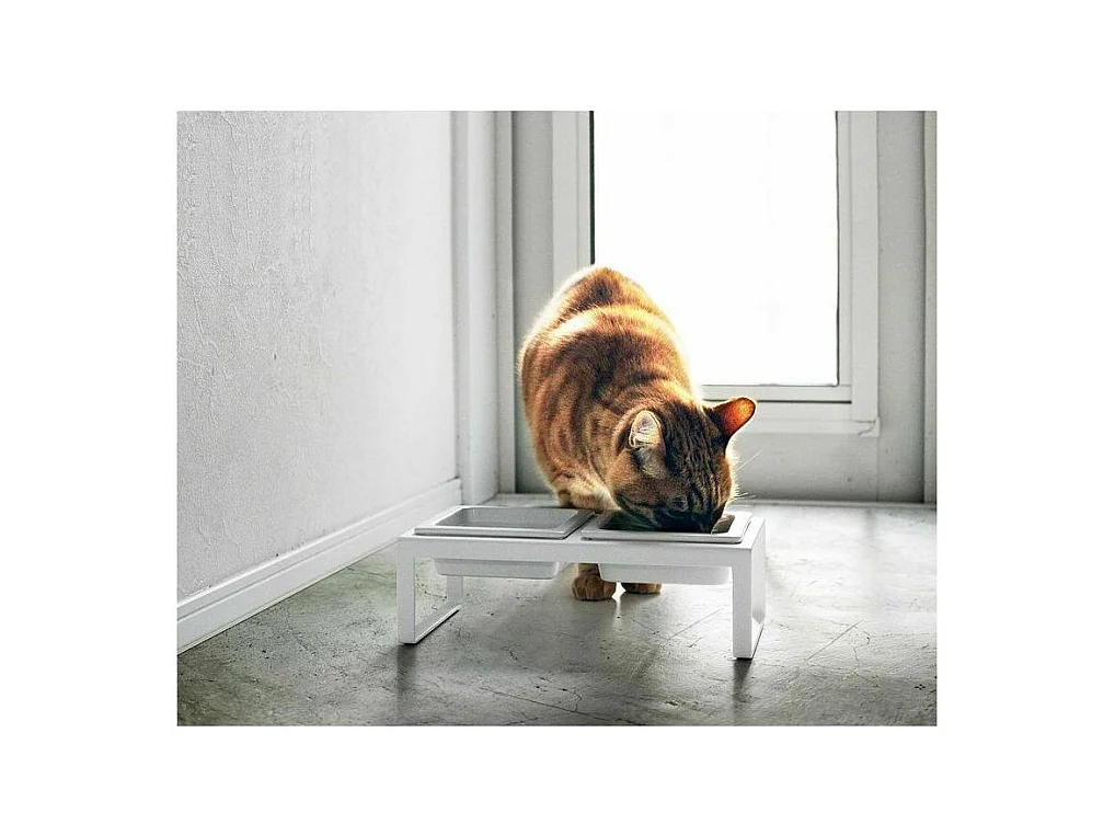 Double gamelle design surélevée pour chat Tower