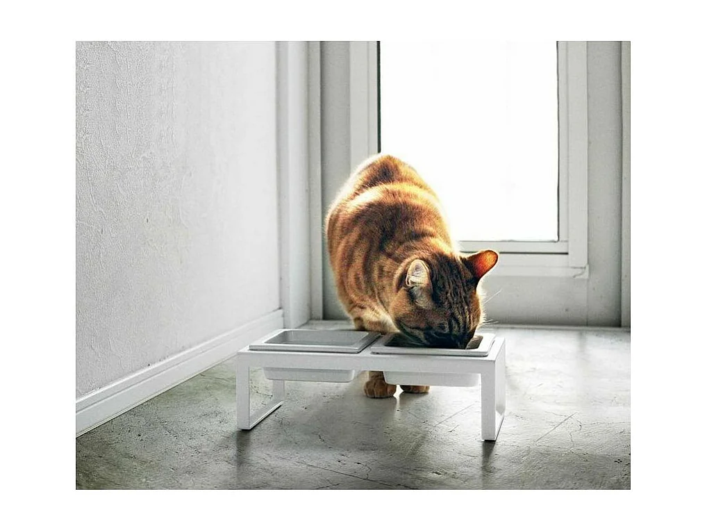 Hochliegende Katzennapf im Designstil "Tower"