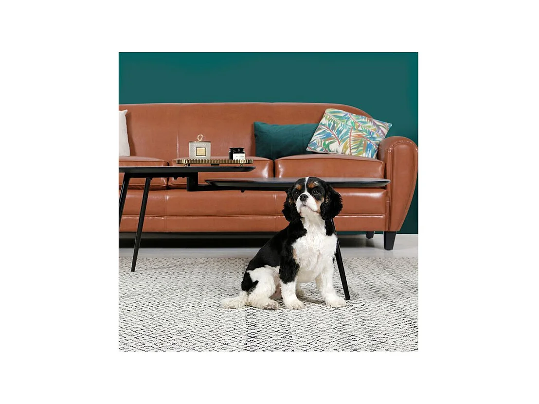 Divano a 3 posti Camel in pelle rivestita - Club