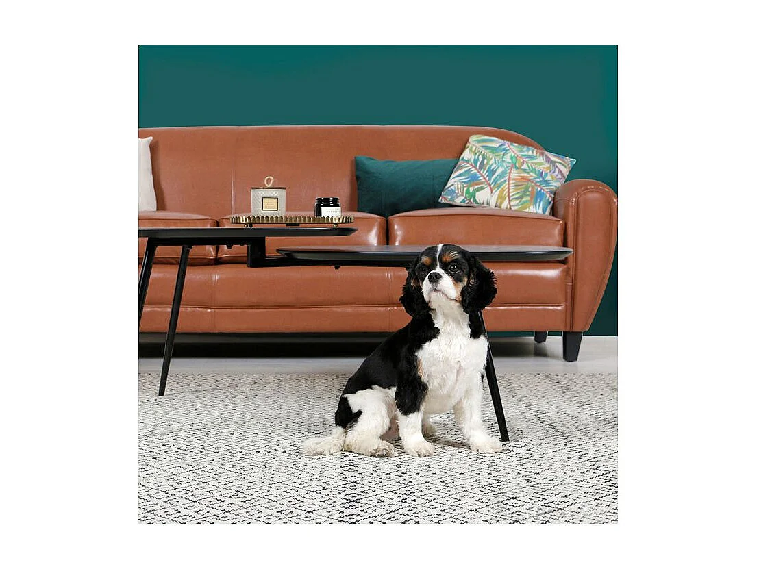 Canapé 3 places camel en croute de cuir enduite - Club