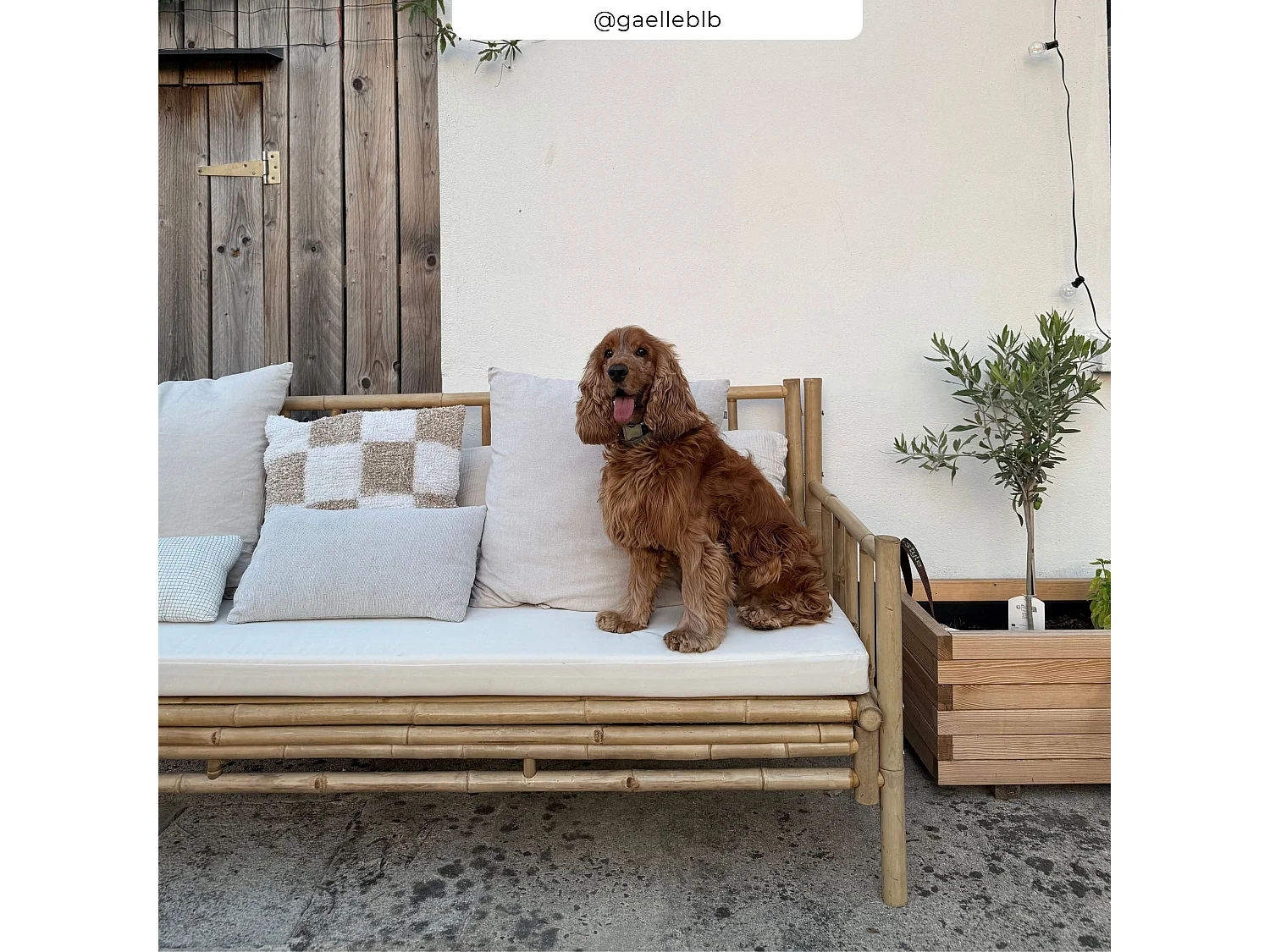 Canapé de jardin 3 places en bambou naturel - Vadella