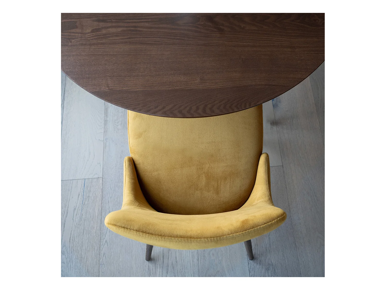 Set de 2 sillas de terciopelo amarillo mostaza - Vinni