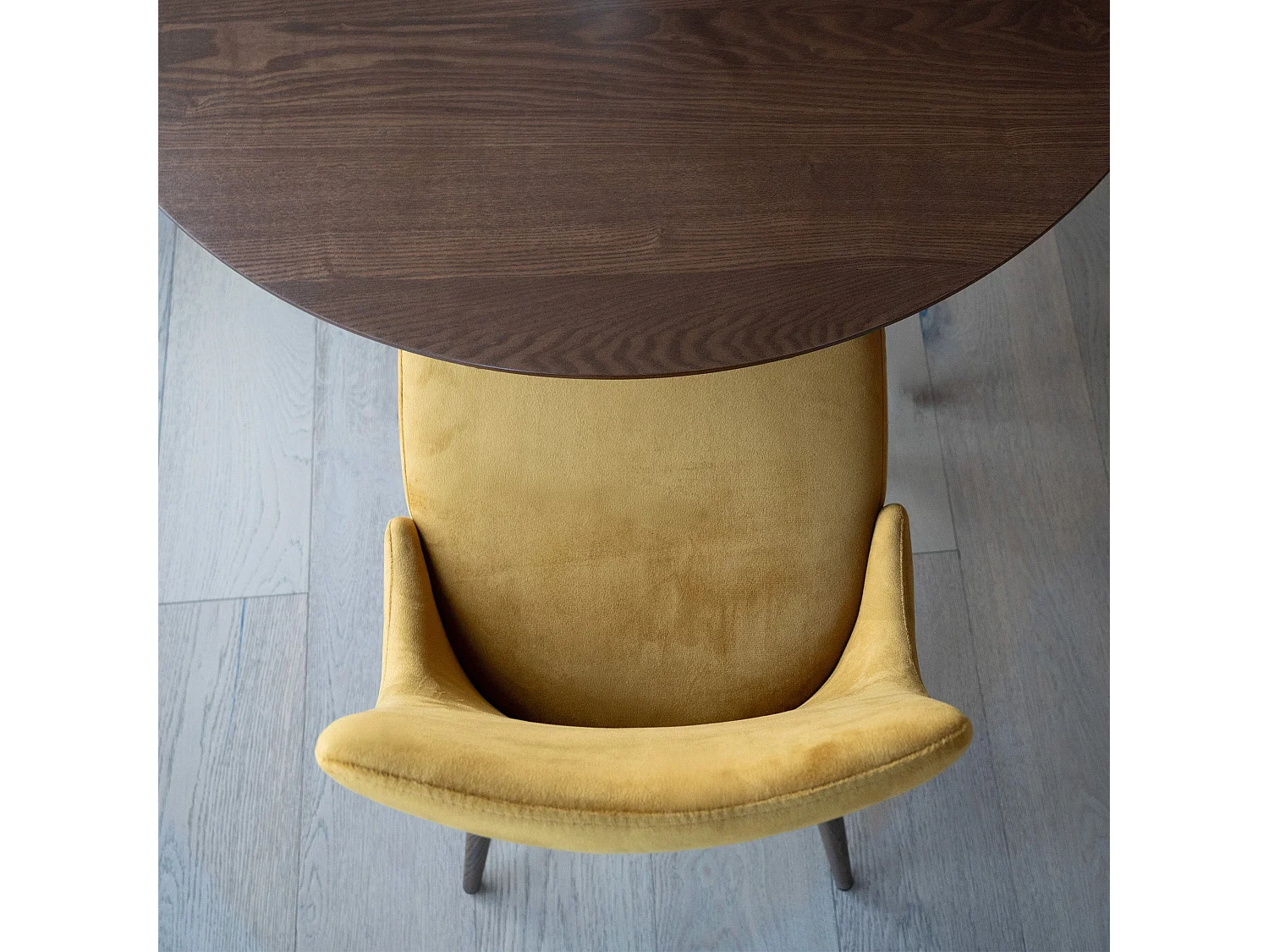 Set de 2 sillas de terciopelo amarillo mostaza - Vinni