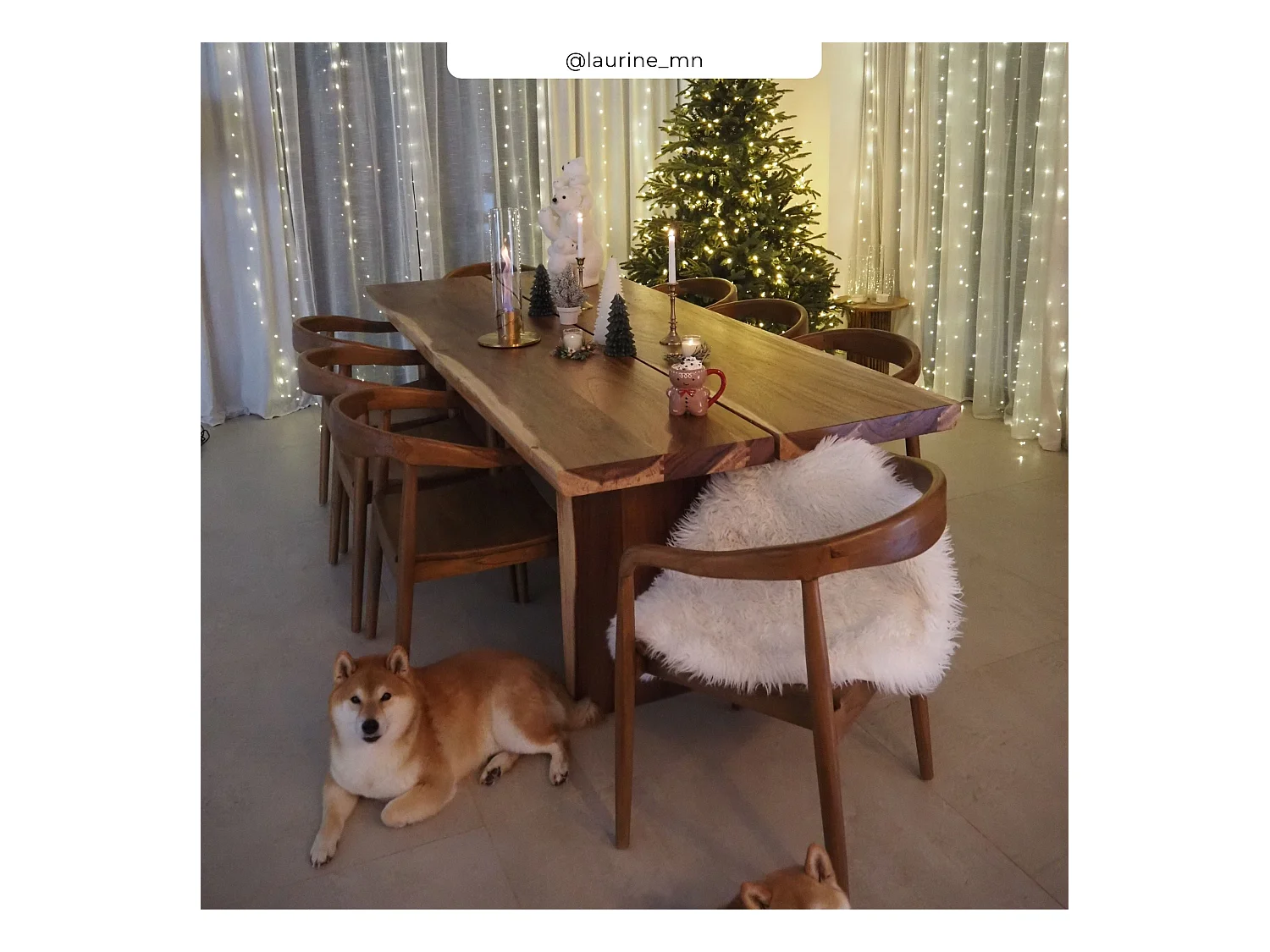 Table rectangulaire 10 personnes en bois de suar 240 cm - Tanah