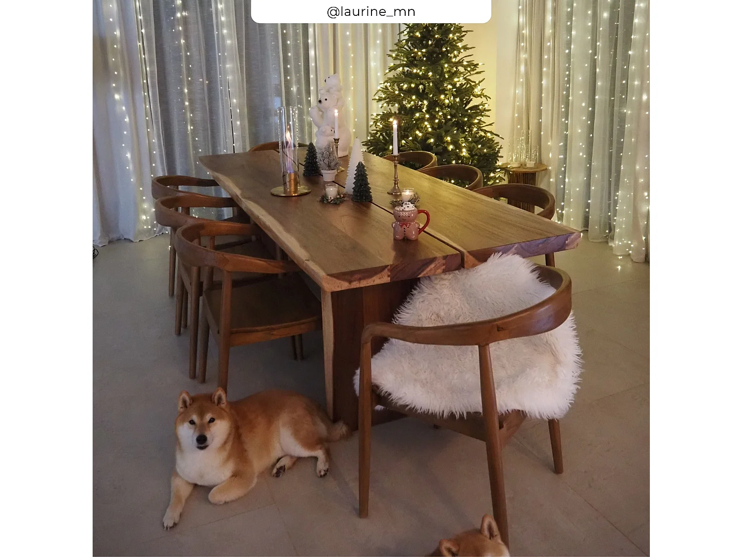 Mesa rectangular para 10 personas en madera de suar 240 cm - Tanah