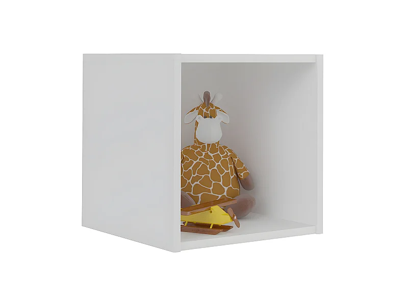 Casier de rangement 1 case  panneaux de fibres blanc TIMEUS