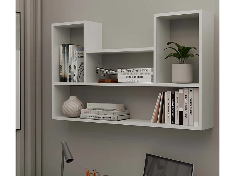 LULU - Librería colgante - Estante de pared - 100x60x16 cm - Almacenamiento de pared de salón