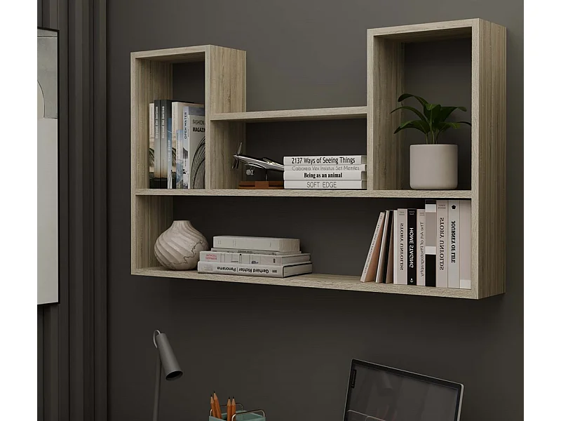 LULU - Librería colgante - Estante de pared - 100x60x16 cm - Almacenamiento de pared de salón