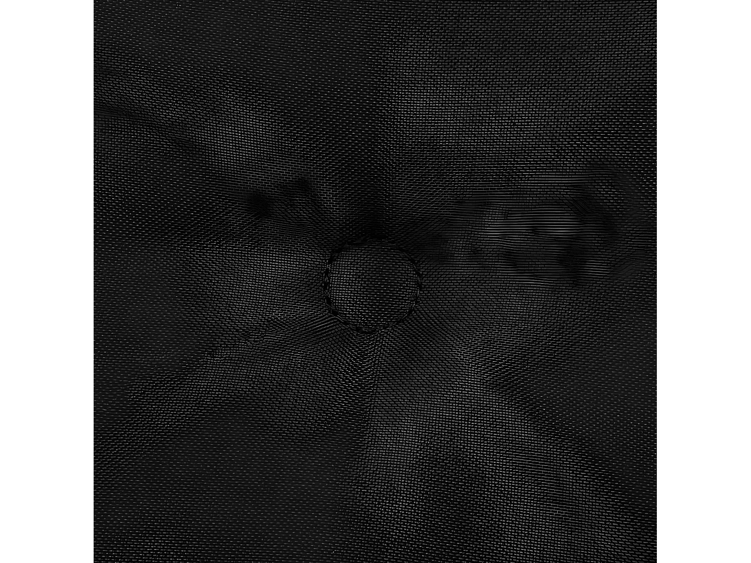 lot de 2 coussins noire 100 x 50 x 3 cm DEC021688