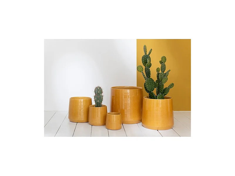 Cactus + maceta verde/cemento Alt. 66 cm