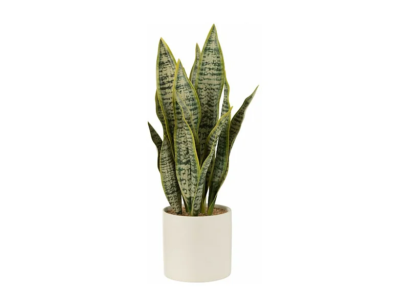 Vaso di sansevieria artificiale in plastica verde 14x14x49 cm