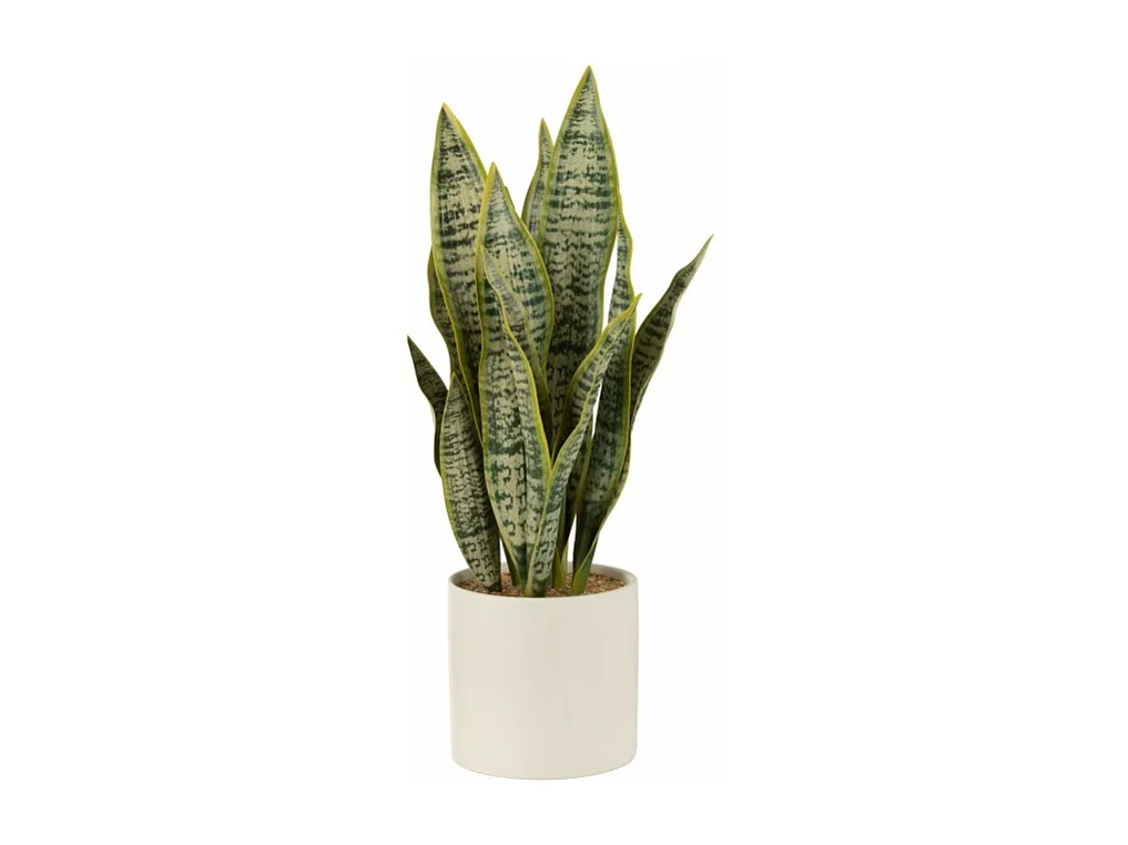 Maceta de sansevieria artificial de plástico verde de 14x14x49 cm