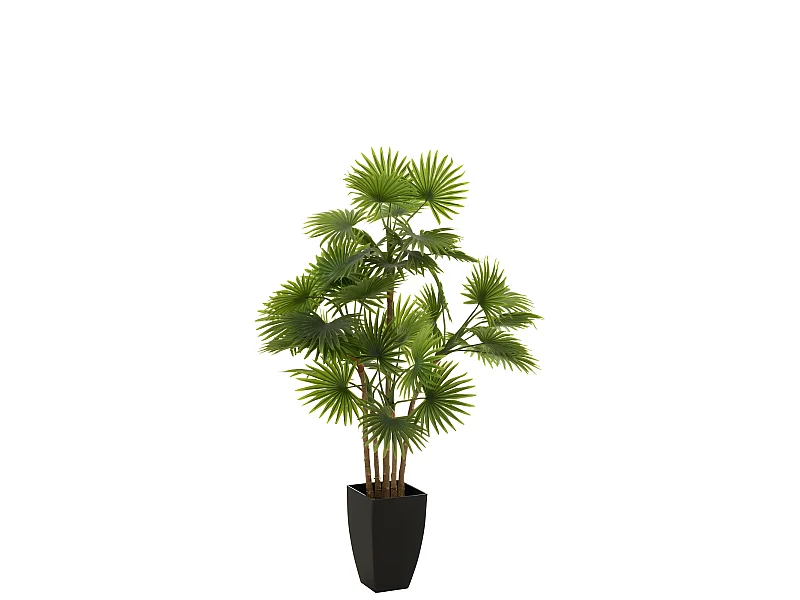 Palmera de ventilador en maceta de plástico verde 75x75x112 cm