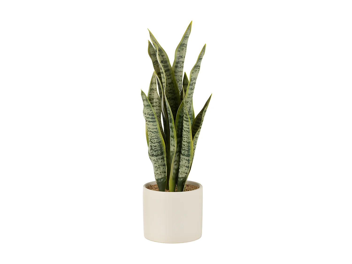 Vaso di sansevieria artificiale in plastica verde 10x10x36 cm