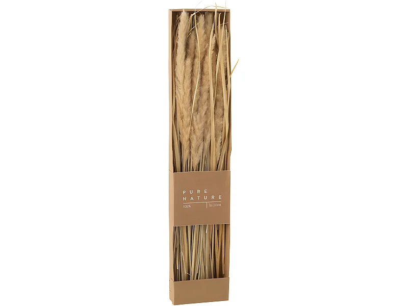 Caja de hierbas secas de madera natural 12x4x60 cm