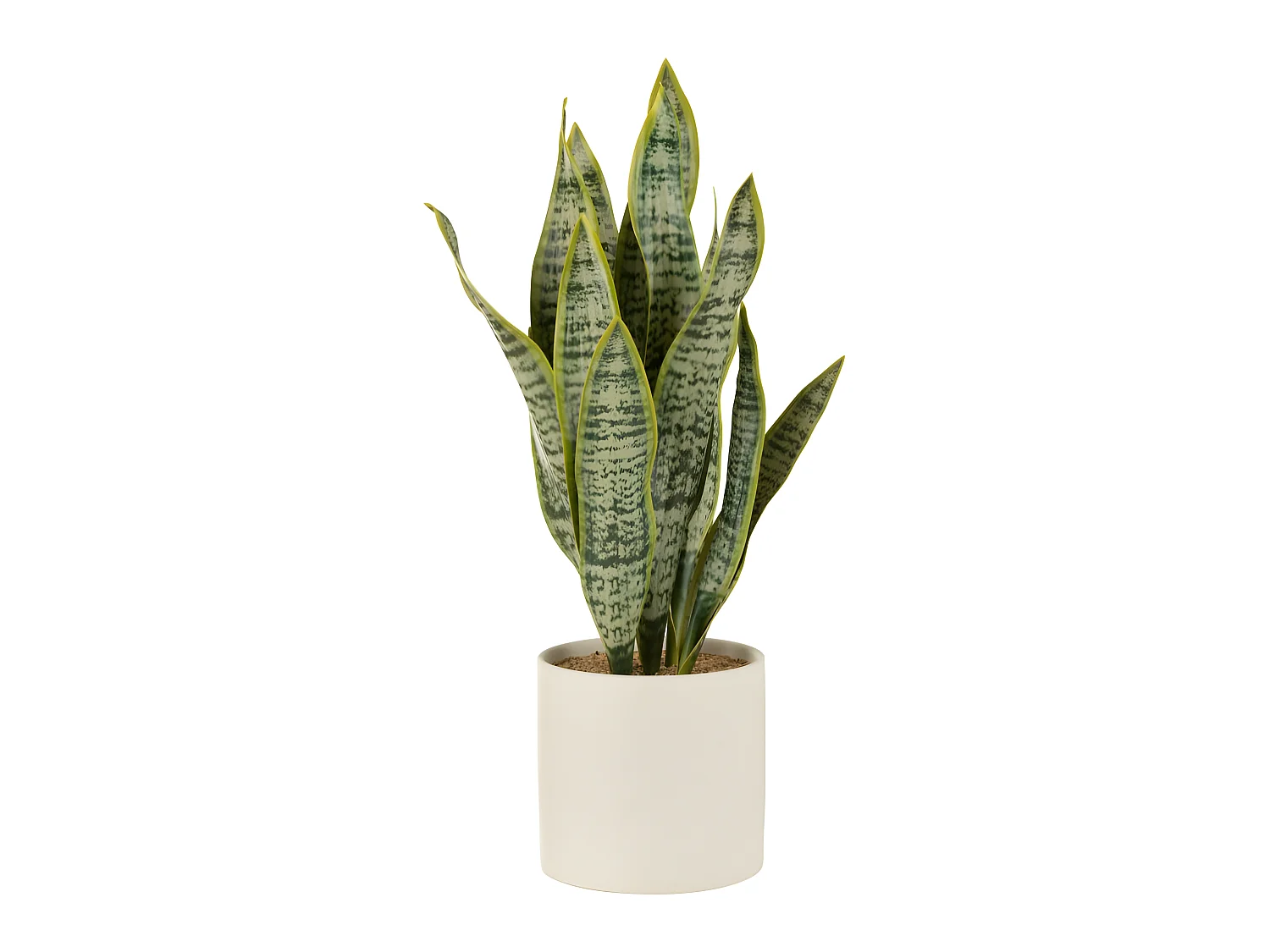 Vaso di sansevieria artificiale in plastica verde 16x16x59 cm