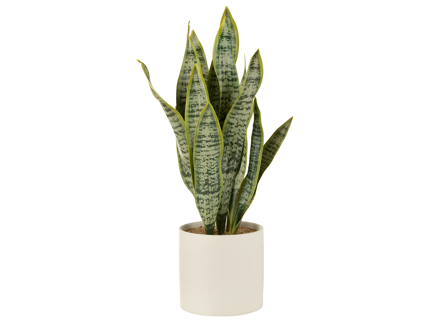 Maceta de sansevieria artificial de plástico verde de 16x16x59 cm