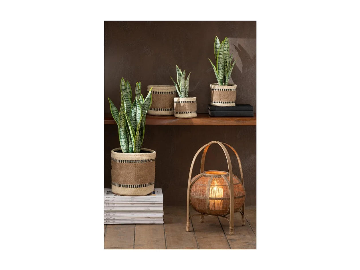 Maceta de sansevieria artificial de plástico verde de 16x16x59 cm