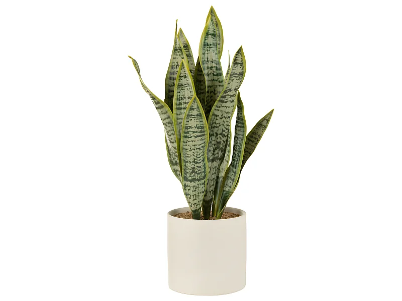 Vaso di sansevieria artificiale in plastica verde 16x16x59 cm