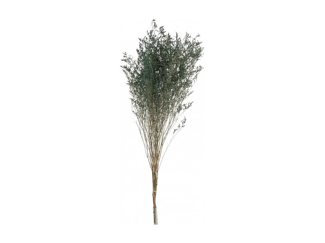 Ramillete seco de lamsoor en madera verde de 20x20x85 cm