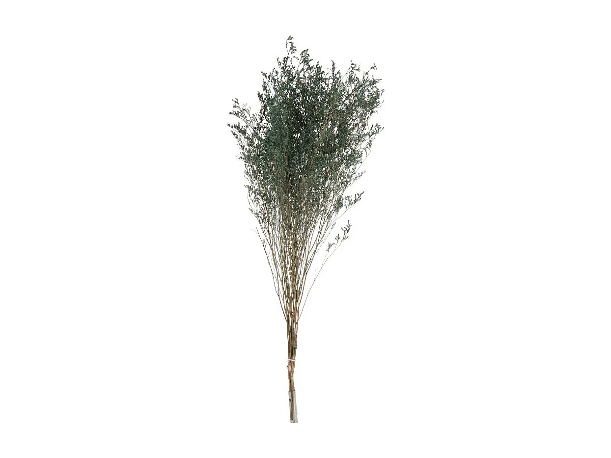 Ramillete seco de lamsoor en madera verde de 20x20x85 cm