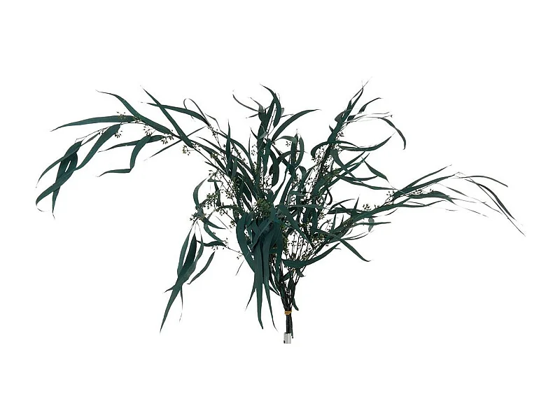 Bouquet di eucalipto selvatico essiccato in legno verde 40x40x80 cm