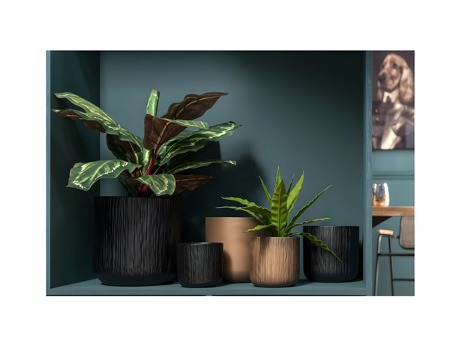 Pavo real en maceta de plástico verde de 26x15x67 cm