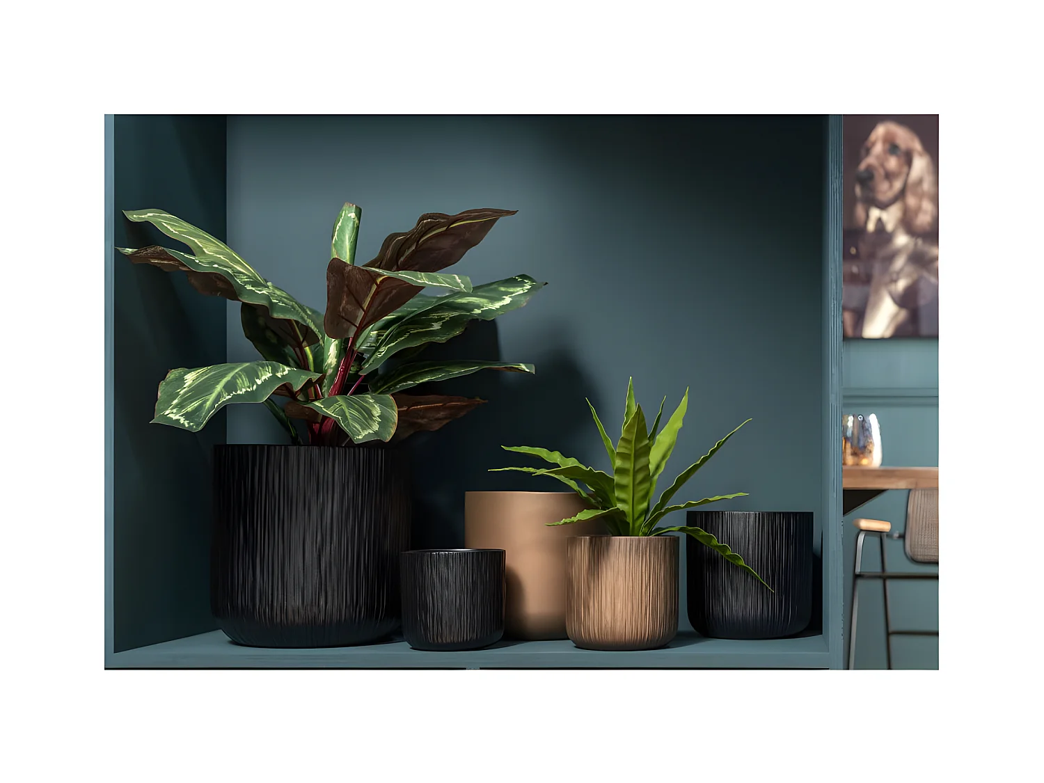 Pavo real en maceta de plástico verde de 26x15x67 cm